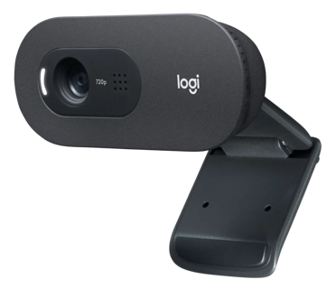 Logitech C505e Webcam 1280 x 720 Pixels USB Black